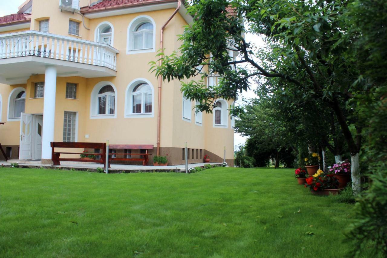 Hotel Casa Monica Băile Felix Exteriér fotografie